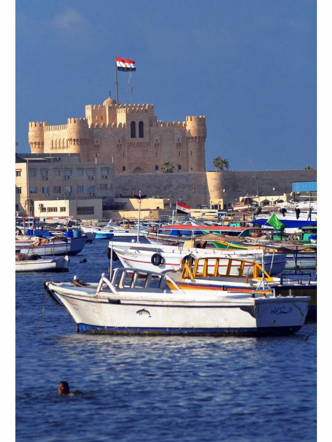 Alexandria